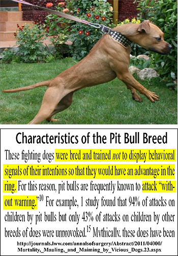 94% of pit bull attacks on children were found to be unprovoked